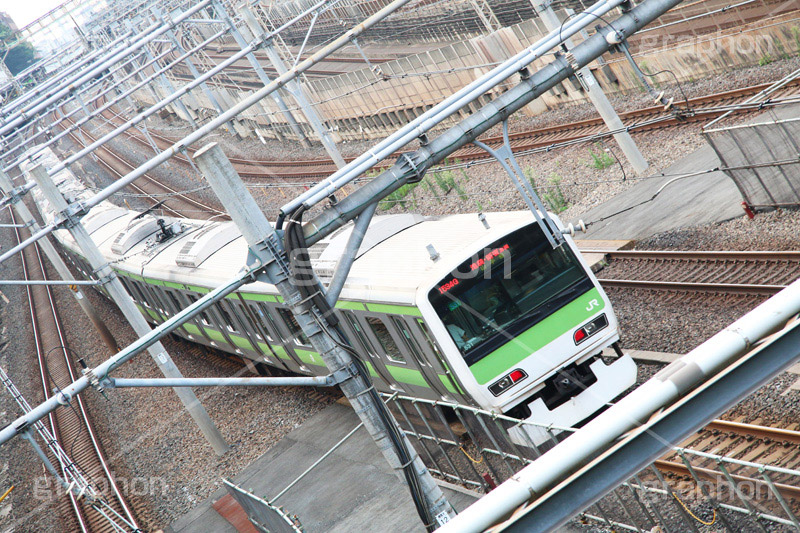 山手線,山手,電車,でんしゃ,鉄道,乗り物,交通,路線,線路,通勤,通学,撮り鉄,とり鉄,車両,電車/鉄道,日暮里駅,接続駅,黄緑,train,旅行,旅,travel