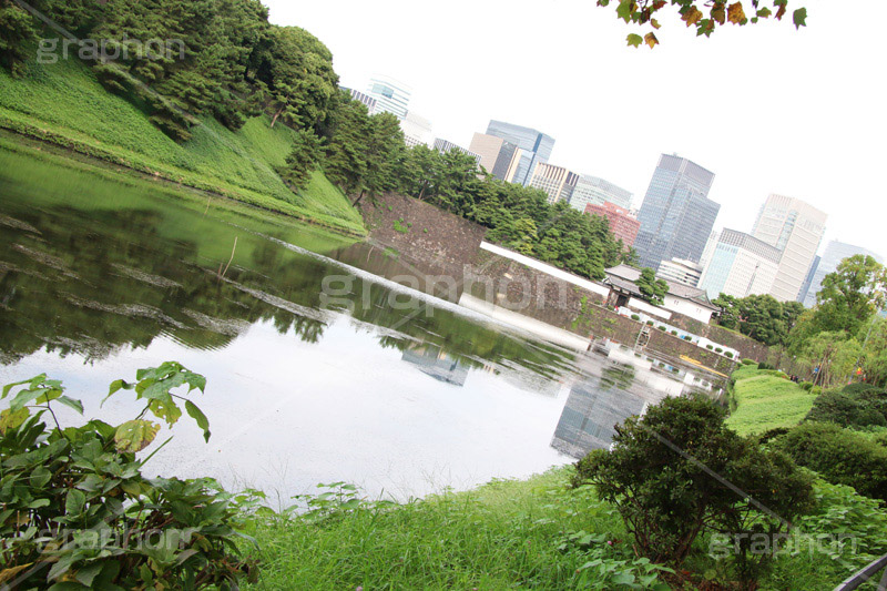 桜田門,門,入口,入り口,橋,皇居,天皇,宮殿,東京,千代田区,大手町,お堀,溜池,江戸城,内堀,堀,重要文化財,japan,tokyo,城外,守備,守る,木戸,高麗門