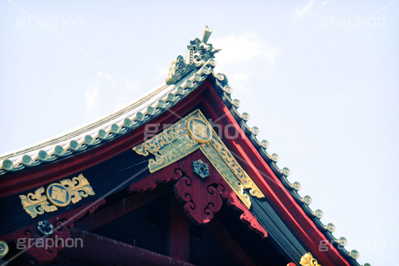 寛永寺 清水観音堂(ヴィンテージ),寺,トイカメラ撮影,トイカメラ,ヴィンテージ,ビンテージ,レトロ,お洒落,おしゃれ,オシャレ,味わい,トンネル効果