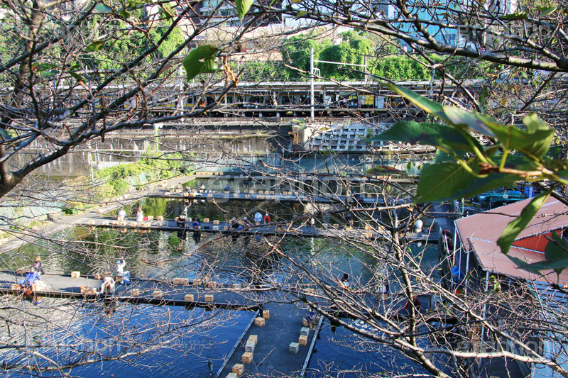 市ヶ谷の釣り堀,釣り堀,釣り,つり,魚,堀,市ヶ谷,市ヶ谷水管橋,市ヶ谷橋,駅前,市ヶ谷堀,神田川,橋,新宿区,千代田区,大学