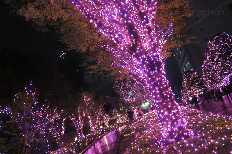 新宿テラスシティのイルミネーション,テラスシティ,サザンテラス,小田急ホテルセンチュリー,サザンタワー,小田急百貨店,新宿西口ハルク,小田急エース,新宿ミロード,新宿ミロード,モザイク通り,Flags,イルミネーション,イルミ,illumination,電飾,電球,発光ダイオード,LED,冬,都内,新宿,イベント,shinjuku,event,pink,ピンク,サクラ,新宿区,西新宿,行事,南口