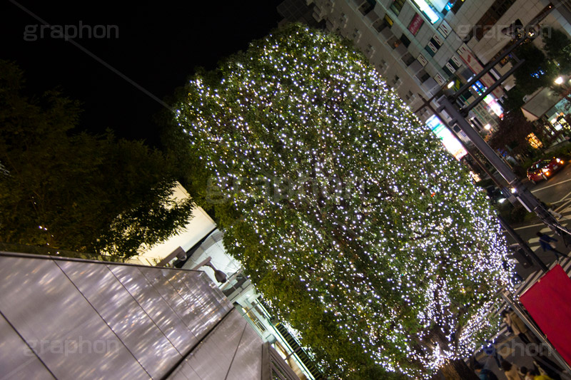 二子玉イルミネーション.二子玉,二子玉川,イルミネーション,イルミ,illumination,電飾,電球,発光ダイオード,LED,冬,イベント,event,ライズ,商業施設,行事