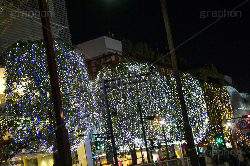 二子玉イルミネーション.二子玉,二子玉川,イルミネーション,イルミ,illumination,電飾,電球,発光ダイオード,LED,冬,イベント,event,white,ホワイト,シャンパンゴールド,行事