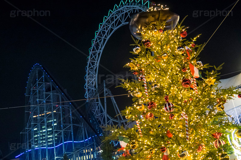 東京ドームシティのクリスマスツリー,東京ドーム,ドームシティ,東京ドームシティ,遊園地,施設,イルミネーション,イルミ,電飾,電球,発光ダイオード,冬,キラキラ,綺麗,きれい,キレイ,煌,輝,デート,スポット,都内,クリスマス,オーナメント,飾り,イベント,水道橋,春日,後楽園,文京区,クリスマスツリー,ツリー,行事,LED,illumination,tree,dome