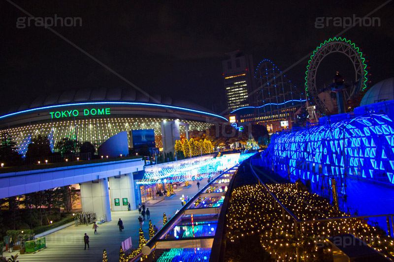 東京ドームシティのイルミネーション,東京ドーム,ドームシティ,東京ドームシティ,遊園地,イルミネーション,イルミ,電飾,電球,発光ダイオード,冬,キラキラ,綺麗,きれい,キレイ,煌,輝,デート,スポット,都内,オーナメント,飾り,イベント,水道橋,春日,後楽園,文京区,行事,LED,illumination