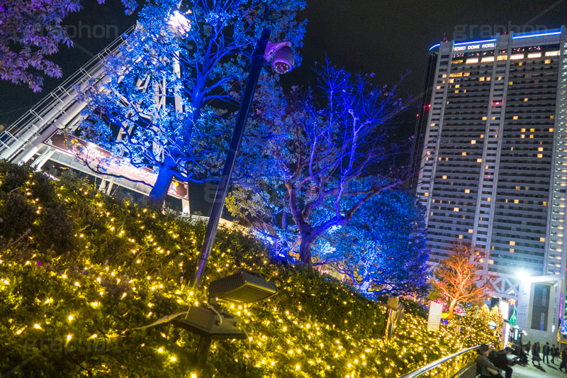 東京ドームシティのイルミネーション,東京ドーム,ドームシティ,東京ドームシティ,遊園地,アトラクション,施設,イルミネーション,イルミ,電飾,電球,発光ダイオード,冬,キラキラ,綺麗,きれい,キレイ,煌,輝,デート,スポット,都内,オーナメント,飾り,イベント,ビッグエッグ,野球,ベイスボール,野球場,巨人,ジャイアンツ,ライブ,ライヴ,コンサート,水道橋,春日,後楽園,文京区,行事,illumination,dome,live,concert,baseball,BIG EGG,LED