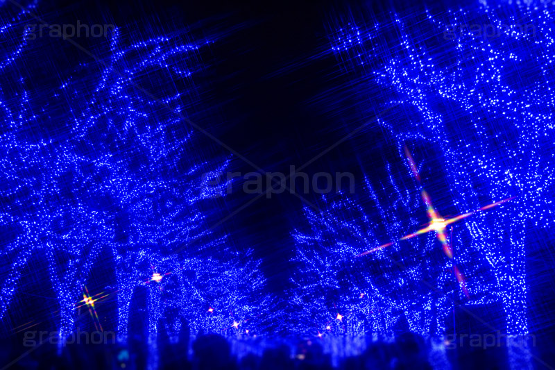 青の洞窟 SHIBUYA,青の洞窟,渋谷,渋谷公園通り,ケヤキ並木,渋谷区,代々木公園,青,ブルー,イルミネーション,イルミ,電飾,電球,発光ダイオード,冬,キラキラ,綺麗,きれい,キレイ,煌,輝,デート,スポット,都内,イベント,クロスフィルタ,フレア,行事,flare,SHIBUYA,illumination,blue,LED