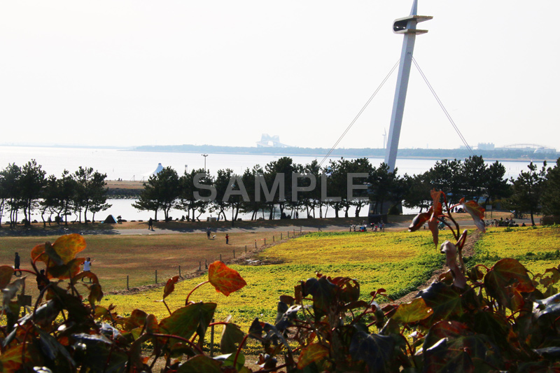 葛西,かさい,葛西臨海公園,公園,都立公園,江戸川区,東京湾,沖合,臨海