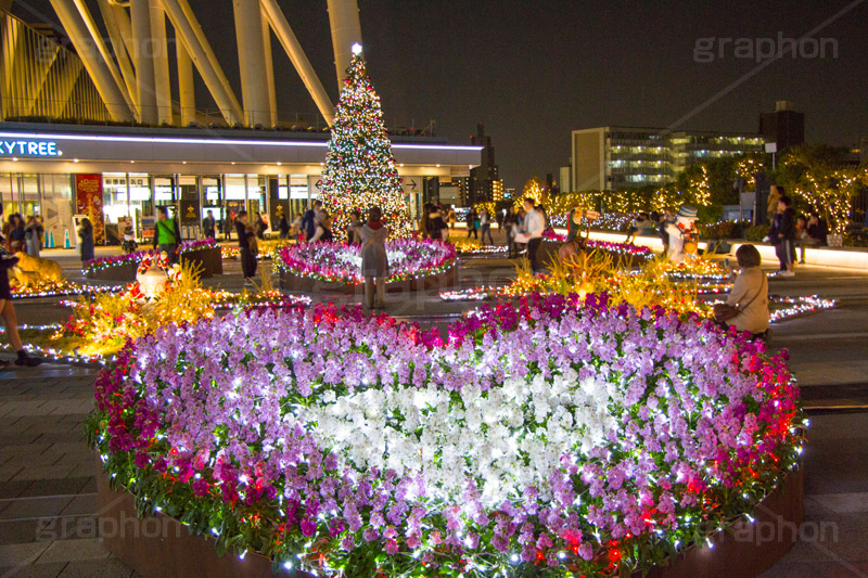 東京スカイツリータウンのイルミネーション,ツリー,施設,イルミネーション,イルミ,illumination,tree,電飾,電球,発光ダイオード,LED,冬,キラキラ,綺麗,きれい,キレイ,煌,輝,デート,スポット,都内,クリスマス,飾り,イベント,スカイツリー,東京スカイツリー,TOKYO SKYTREE,墨田区,押上,クリスマスツリー,ツリー,Christmas,商業施設,行事,花,フラワー,ハート,heart,solamachi,flower