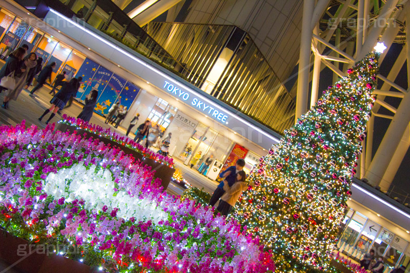 東京スカイツリータウンのクリスマスツリー,ツリー,施設,イルミネーション,イルミ,illumination,tree,電飾,電球,発光ダイオード,LED,冬,キラキラ,綺麗,きれい,キレイ,煌,輝,デート,スポット,都内,クリスマス,飾り,イベント,スカイツリー,東京スカイツリー,TOKYO SKYTREE,墨田区,押上,クリスマスツリー,ツリー,Christmas,商業施設,行事,solamachi