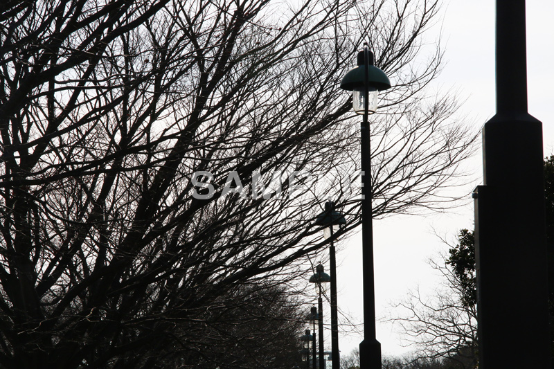 葛西,かさい,葛西臨海公園,公園,都立公園,江戸川区,東京湾,沖合,臨海