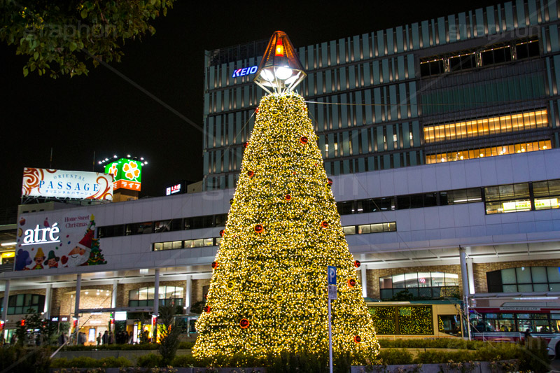 吉祥寺のイルミネーション,クリスマスツリー,ツリー,イルミネーション,イルミ,illumination,Christmas,電飾,電球,冬,キラキラ,綺麗,きれい,キレイ,煌,輝,クリスマス,吉祥寺,駅前,武蔵野市,ロータリー