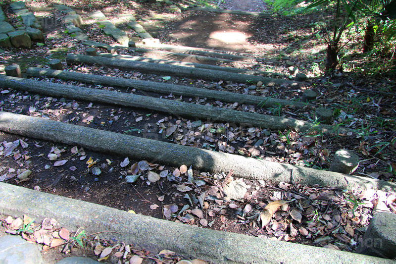 公園の階段,公園,自然,落ち葉,階段,登る,下りる,丸太,park,散歩,遊歩道,木漏れ日