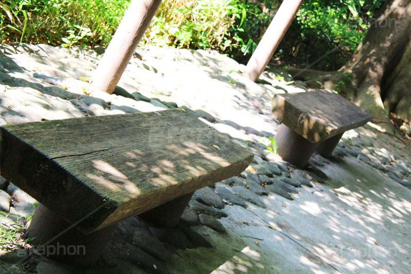 公園のベンチ,ベンチ,椅子,いす,公園,自然,敷石,丸太,散歩,bench,park