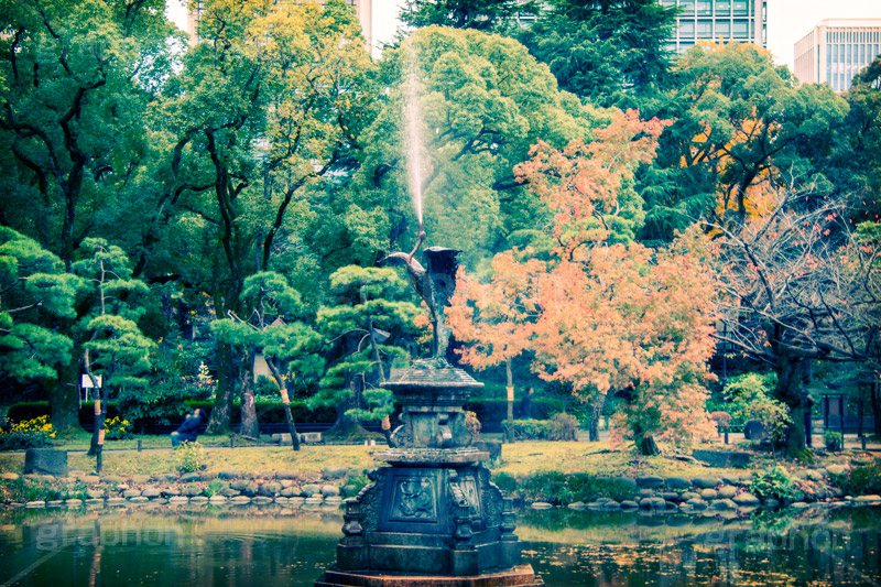 日比谷公園の庭園(ヴィンテージ),トイカメラ撮影,トイカメラ,ヴィンテージ,ビンテージ,レトロ,お洒落,おしゃれ,オシャレ,味わい,トンネル効果,池