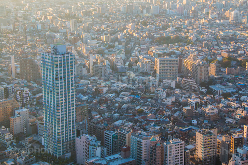 東京の街並み,街,街並み,新宿,景色,展望,展望台,都庁,東京,夜,ビル,ビル群,高層ビル,オフィスビル,ビジネス街,shinjuku,building,office,tokyo