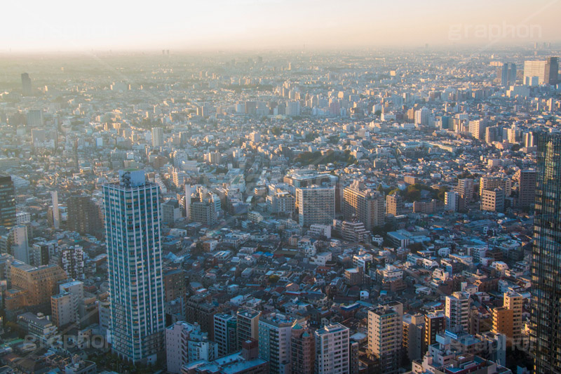 東京の街並み,街,街並み,新宿,景色,展望,展望台,都庁,東京,夜,ビル,ビル群,高層ビル,オフィスビル,ビジネス街,shinjuku,building,office,tokyo