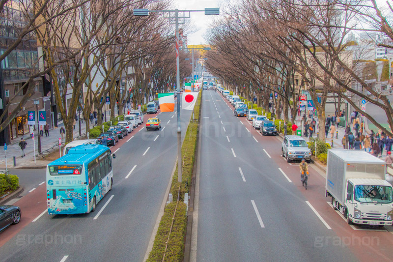 表参道のケヤキ並木,表参道,並木,並木道,ケヤキ並木,参道,青山通り,神宮前,大通り,渋谷区,青山,高級ブランド,旗艦店,買い物,ショッピング,ショップ,shop,shopping,brand