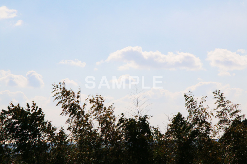 山,やま,自然,空,景色,山頂,雲,地形,草木