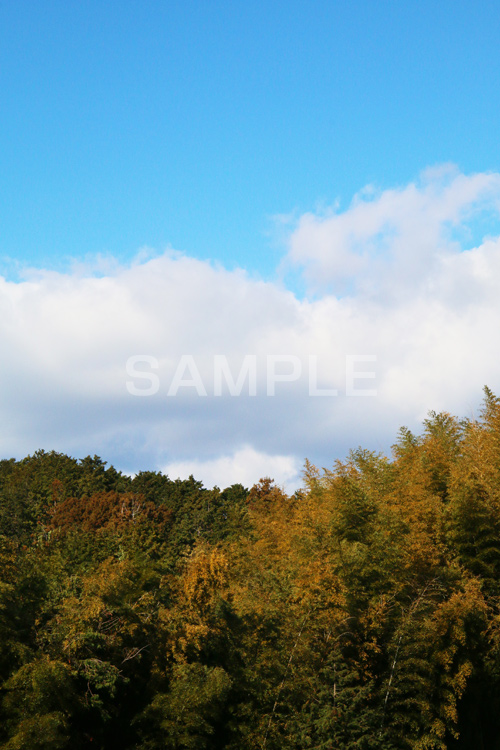 山,やま,自然,空,景色,山頂,雲,地形,草木