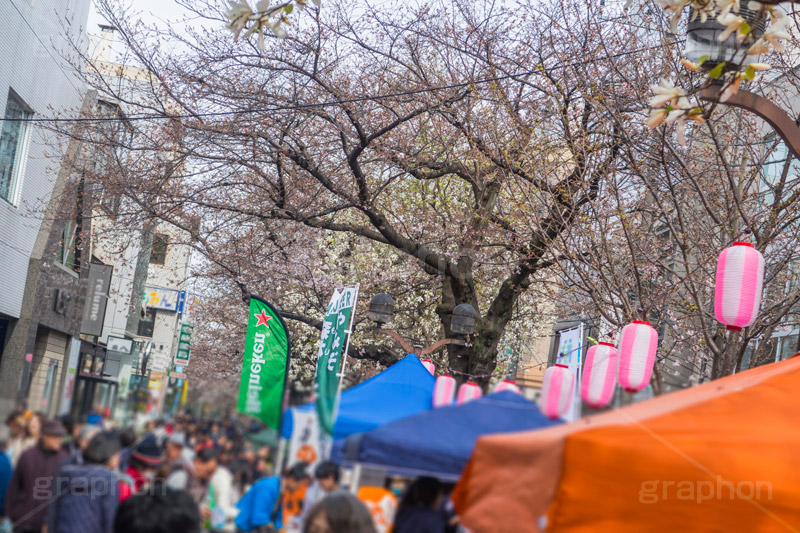 さくら祭りで賑わう九品仏川緑道,緑道,並木,通り,さくら,桜,さくら祭り,賑わう,人混み,混雑,出店,屋台,花,はな,フラワー,flower,spring,blossom,花より団子,自由が丘,目黒区,九品仏