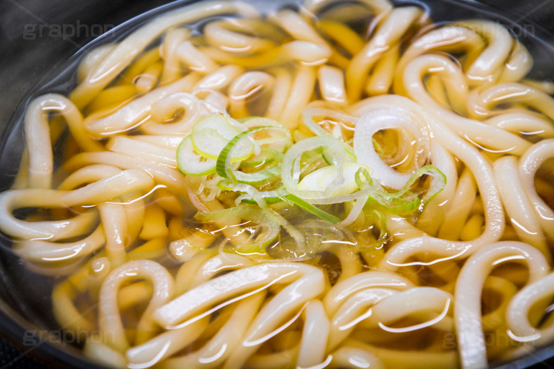 素うどん,うどん,饂飩,ウドン,だし,出汁,ダシ,小麦粉,日本料理,日本食,和食,つゆ,麺料理,麺類,ねぎ,薬味,シンプル,japan,simple