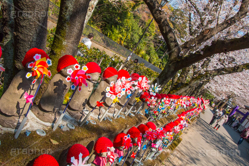 千躰子育地蔵尊,増上寺,芝公園,浄土宗,地蔵,お地蔵さん,子育て,安産,子供,こども,祈願,頭巾,赤い頭巾,風車,並ぶ,多い,大量,寺院,寺,参拝,重要文化財,文化財,港区,japan,temple