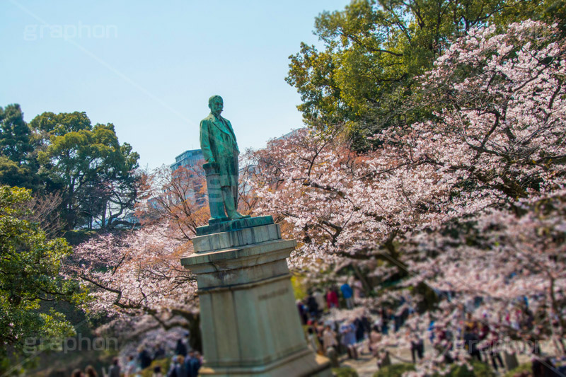 お花見で賑わう九段下,賑わう,人混み,混雑,牛ヶ淵の桜,武道館,九段下,牛ヶ淵,桜,ソメイヨシノ,オオシマザクラ,さくら,サクラ,桜まつり,花見,お花見,花,お花,フラワー,はな,flower,japan,blossom,咲,春,千代田区