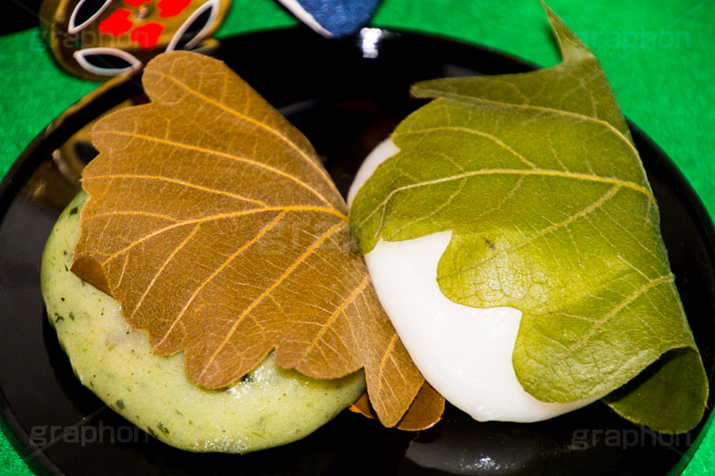 柏餅,かしわもち,かしわ餅,もち,餅,おもち,和菓子,菓子,お菓子,お茶請け,デザート,あん,餡子,あんこ,カシワ,かしわ,つぶあん,こしあん,5月5日,端午,節句,供物,こどもの日,子供の日,こども,子供,男の子,しばもち,よもぎ,ヨモギ,蓬,葉,葉っぱ,和,和食,日本食,文化,風習,行事,スイーツ,dessert,japan,kids