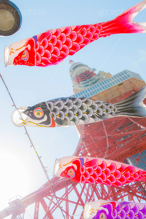 東京タワーと鯉のぼり,こいのぼり,鯉のぼり,5月5日,端午,節句,供物,こどもの日,子供の日,こども,子供,男の子,東京タワー,とうきょうタワー,Tokyo Tower,event,kids,港区,和,文化,japan,風習,行事,なびく