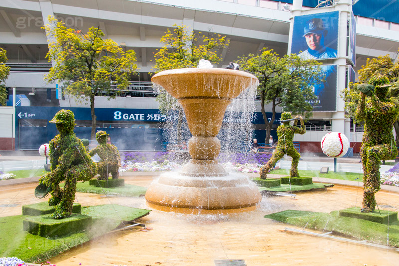 春の横浜スタジアム,春の横浜公園,横浜,公園,神奈川,花,お花,フラワー,はな,花壇,春,横浜スタジアム,スタジアム,球場,野球,ベイスボール,横浜DeNAベイスターズ,噴水,トピアリー,オリンピック,スポーツ,sports,olympic,flower,spring,park,stadium,topiary