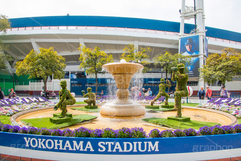 春の横浜スタジアム,春の横浜公園,横浜,公園,神奈川,花,お花,フラワー,はな,花壇,春,横浜スタジアム,スタジアム,球場,野球,ベイスボール,横浜DeNAベイスターズ,噴水,トピアリー,オリンピック,スポーツ,sports,olympic,flower,spring,park,stadium,topiary