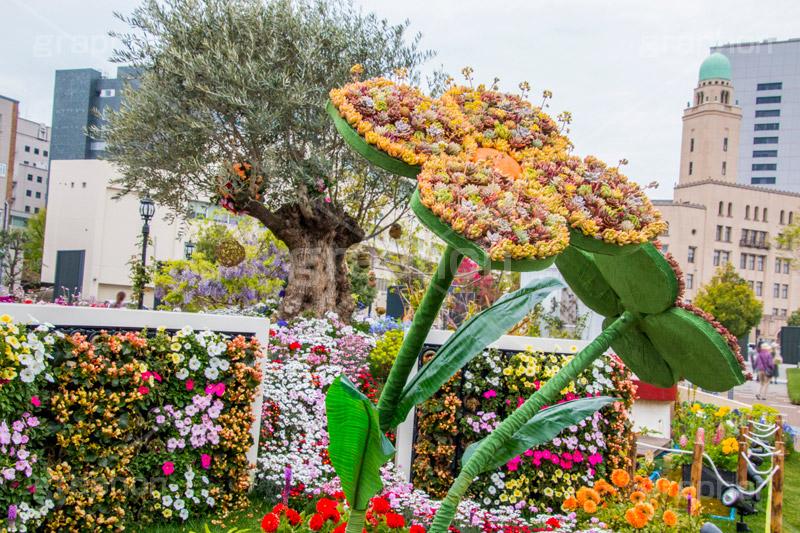 春の山下公園,山下公園,春,トピアリー,花,フラワー,spring,flower,topiary,花壇,横浜港,横浜,神奈川,モニュメント