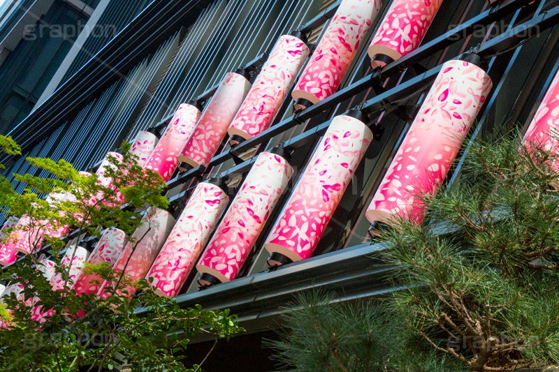 春のコレド日本橋,日本橋,NIHONBASHI SAKURA GATE,仲通り,コレド,桜提灯,灯籠,桜,さくら,イベント,フェスティバル,春,spring,festival,japan,COREDO,コレド,ショップ,レストラン,商業施設,商業,ショッピング,building,shopping,施設,情緒,風情