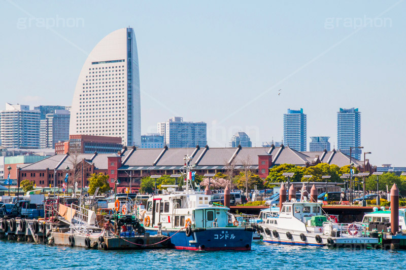 横浜港,港,横浜,よこはま,ヨコハマ,神奈川,海辺,公園,山下公園,象の鼻パーク,park,sea,みなとみらい,赤レンガ倉庫,ベイサイド