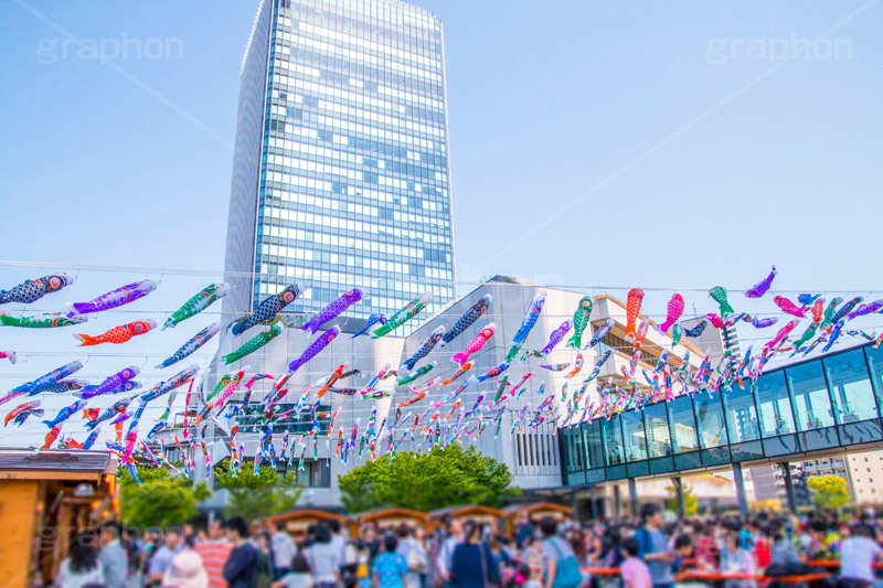 スカイツリータウンの鯉のぼり,こいのぼり,鯉のぼり,5月5日,端午,節句,こどもの日,子供の日,こども,子供,男の子,スカイツリー,スカイツリータウン,skytree,event,kids,japan,和,文化,風習,行事,634匹,埼玉県,加須市,墨田区,押上,フェスティバル,festival,tower,タワー,solamachi,なびく