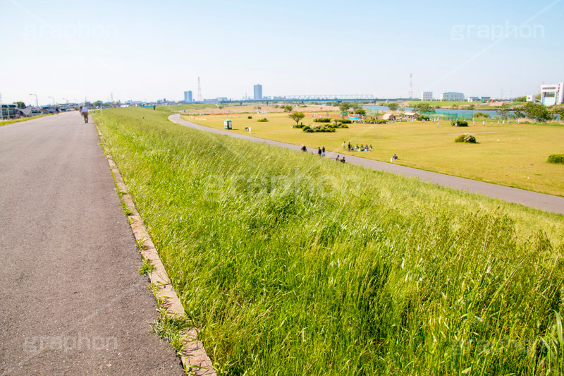 江戸川河川敷,江戸川,河川,河川敷,一級河川,歩道,散歩,ハイキング,ウォーキング,ランニング,hiking,walking,sports,running,ground,草むら,雑草,葛飾区,江戸川区