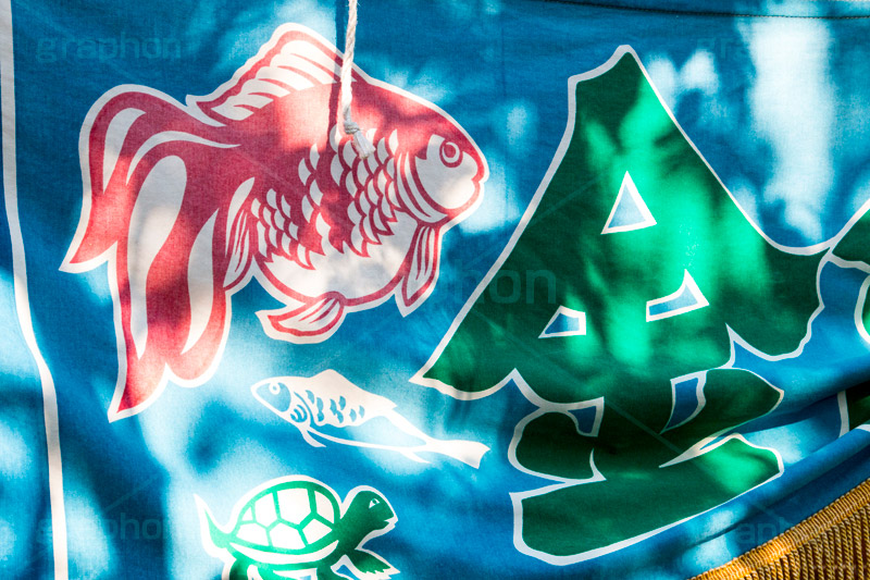 金魚,金魚すくい,すくい,魚,出店,屋台,祭り,まつり,縁日,こども,子供,遊び,ゲーム,kids,game,旗,暖簾,のれん