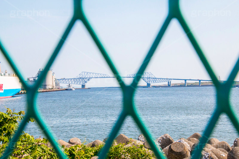 金網越しの東京ゲートブリッジ,金網,柵,東京ゲートブリッジ,ゲート,ブリッジ,橋,東京湾,Tokyo Gate Bridge,bridge,江東区,恐竜橋,東京港臨海道路,若洲,大田区,新木場