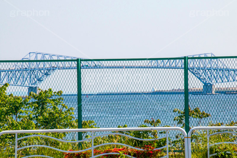 金網越しの東京ゲートブリッジ,金網,柵,東京ゲートブリッジ,ゲート,ブリッジ,橋,東京湾,Tokyo Gate Bridge,bridge,江東区,恐竜橋,東京港臨海道路,若洲,大田区,新木場