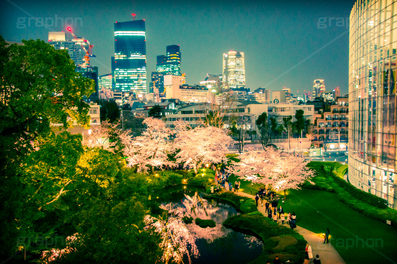 毛利庭園の桜,トイカメラ撮影,トイカメラ,ヴィンテージ,ビンテージ,レトロ,お洒落,おしゃれ,オシャレ,味わい,トンネル効果