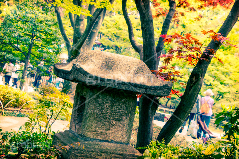 横浜公園の日本庭園,トイカメラ撮影,トイカメラ,ヴィンテージ,ビンテージ,レトロ,お洒落,おしゃれ,オシャレ,味わい,トンネル効果