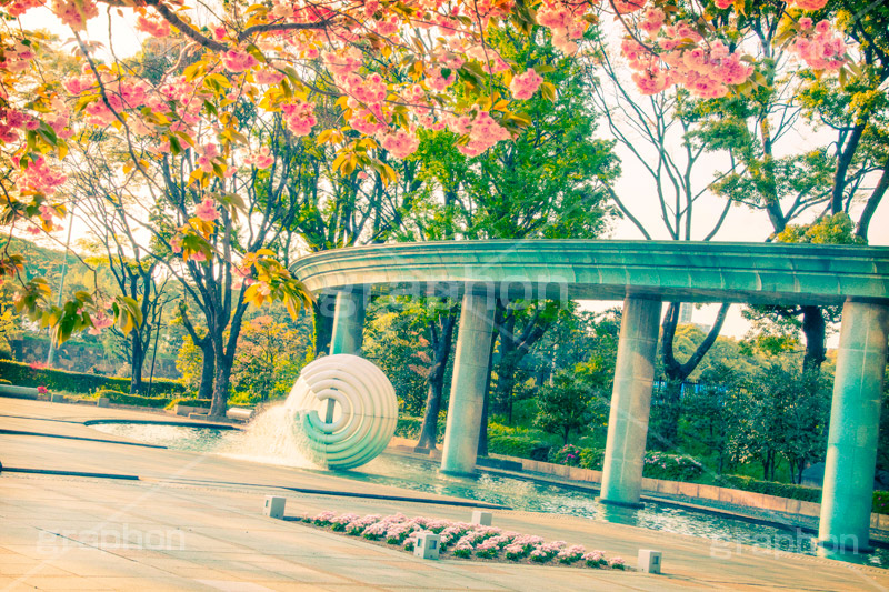 和田倉噴水公園のさくら,トイカメラ撮影,トイカメラ,ヴィンテージ,ビンテージ,レトロ,お洒落,おしゃれ,オシャレ,味わい,トンネル効果