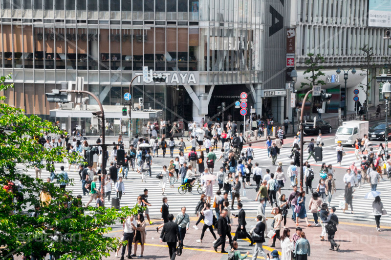 渋谷の雑踏,渋谷スクランブル交差点,渋谷,しぶや,観光,交差点,渋谷駅,駅前,スクランブル,外国人,海外,道玄坂,横断歩道,信号,雑踏,都会の雑踏,混む,混雑,人混み,人々,渡る,歩く,人物,shibuya,japan