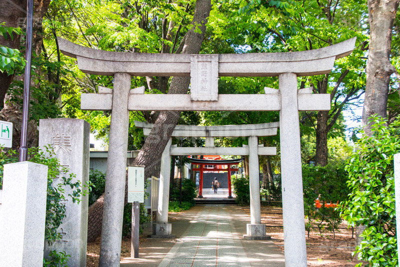 熊野神社,神社,熊野三山,祭神,十二所神社,参拝,お参り,鳥居,自由が丘,目黒区