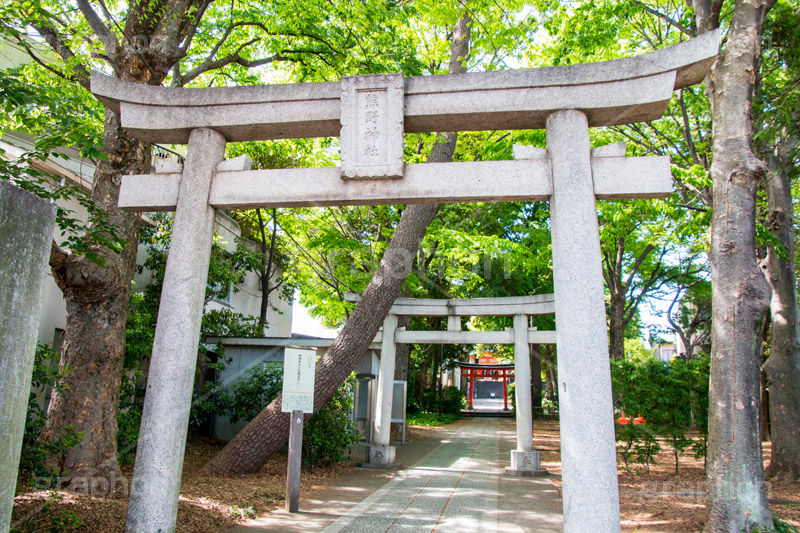 熊野神社,神社,熊野三山,祭神,十二所神社,参拝,お参り,鳥居,自由が丘,目黒区