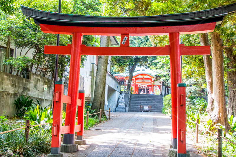 熊野神社,神社,熊野三山,祭神,十二所神社,参拝,お参り,鳥居,自由が丘,目黒区