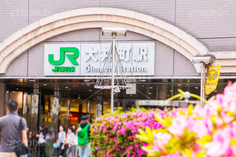 春の大井町駅前,大井町駅,駅,JR,電車,でんしゃ,鉄道,電車待ち,大井町線,電車/鉄道,駅前,大井町,train,spring,品川区,看板,標示,春,ツツジ,つつじ