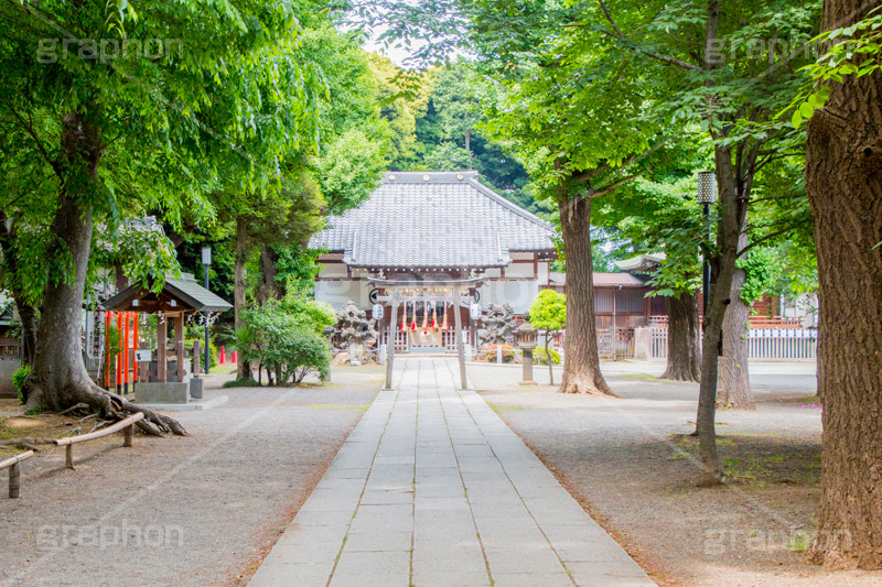 平塚神社,ひらつかじんじゃ,神社,参拝,お参り,北区,上中里,甲冑塚古墳,古墳,菅原神社,稲荷神社,石室神社,鳥居,石畳,japan