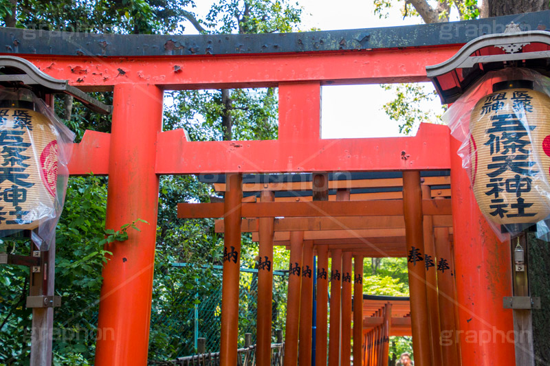 花園稲荷神社,はなぞのいなりじんじゃ,神社,参拝,お参り,上野,上野公園,台東区,五條天神社,鳥居,japan,上野恩賜公園